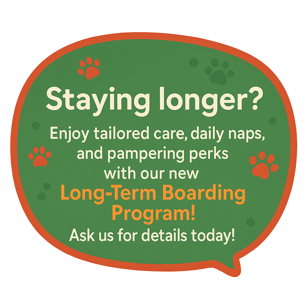 Staying longer? Enjoy tailored care, daily naps, and pampering perks with our new Long-Term Boarding Program! Ask us for details today!